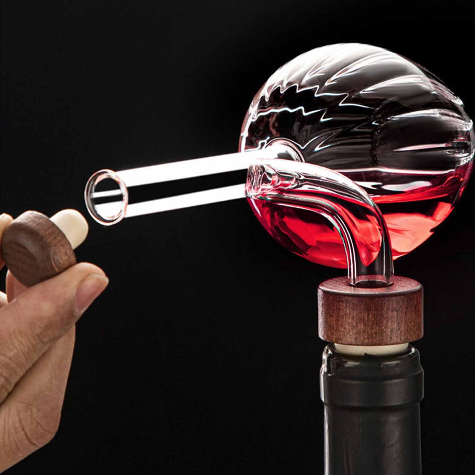Fast Pouring Portable Decanter - Wine Aerator Pour ulasan dan harga