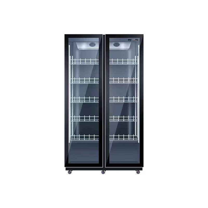 Double Door Air Cooling Refrig - Wine Beer Dual Zone ulasan dan harga